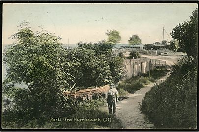 Humlebæk, udsigt mod havnen. Stenders no. 17669. Med 5 øre Fr. VIII annulleret Sjællandske Kystbane 12.06.1909 T413. til København.