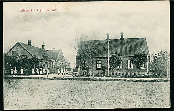 Gylling Skov, Hilsen fra. J.J.N. no. 2048. Frankeret med 5 øre Fr. VIII annulleret med stjernestempel GYLLING og sidestemplet bureau Horsens - Odder T.8 d. 14.7.1908 til Skanderborg.