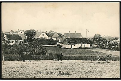 Føllesløv (Følleslev). Udsigt over Byen. E. Nielsen no. 10900.