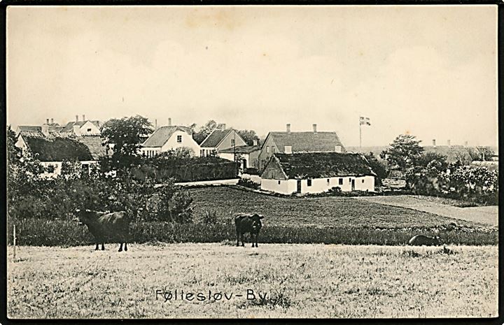 Føllesløv (Følleslev). Udsigt over Byen. E. Nielsen no. 10900.