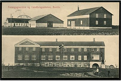 Borris. Forsøgsgaarden og Landbrugsskolen. J.J.N. no. 2928.