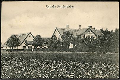 Tystofte Forsøgsstation ved Skælskør. J. Gjellebøl u/no.