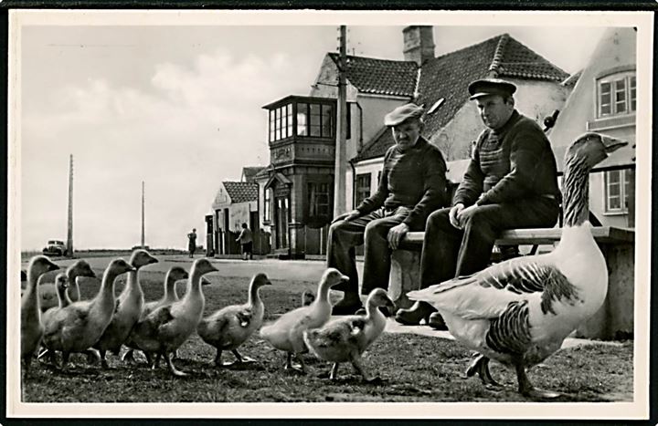 Dragør. Gåseparade. Fotokort F. Munthe-Østerbye no. 622.