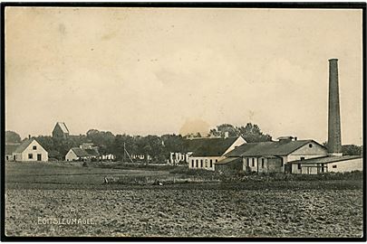 Egitslevmagle med kirke i baggrunden. Gjellebøl u/no.