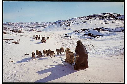 Grønland, Hundevæddeløb. A. Klenow u/no. Brugt i Julianehåb 1981.