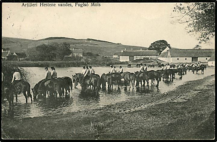 Fuglsø på Mols. Artilleri hestene vandes. H.A. Ebbesen no. 1214.