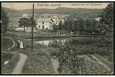 Aabenraa, Gruss aus med udsigt over Karpfenteich. ON no. 1105.