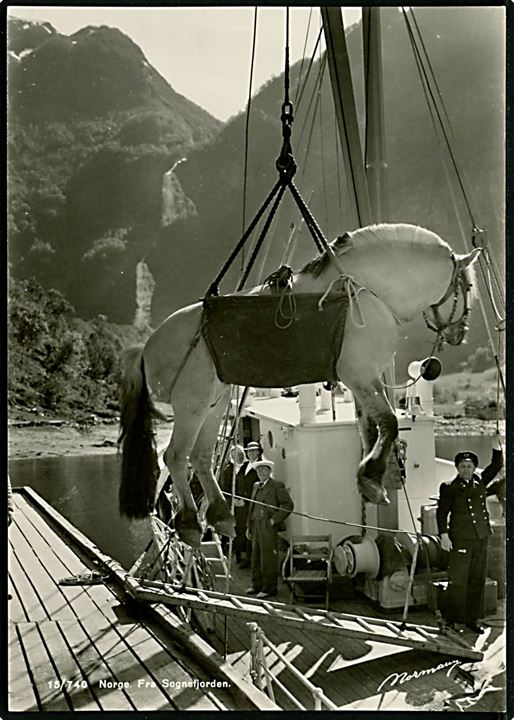 Norge, Sognefjorden, losning af hest ombord på dampskib. Normann no. 15/740.