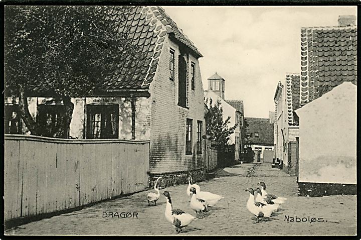 Dragør. Naboløs med gæs. Stenders no. 12721.