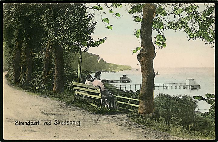 Skodsborg, strandparti med udsigt over Øresund. Stenders no. 17605.