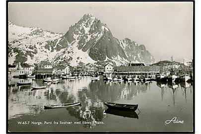 Svolvær havn med fiskeflåde i havn. Aune no. W-65-7.