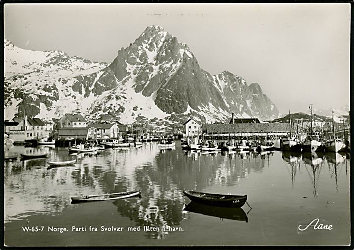 Svolvær havn med fiskeflåde i havn. Aune no. W-65-7.