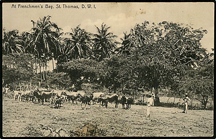 D.V.I., St. Thomas, At Frenchmen's Bay. Lightbourn u/no.