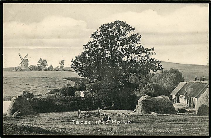 Tadse med mølle i baggrunden. P. C. Poulsen Skodhauge no. 11827.