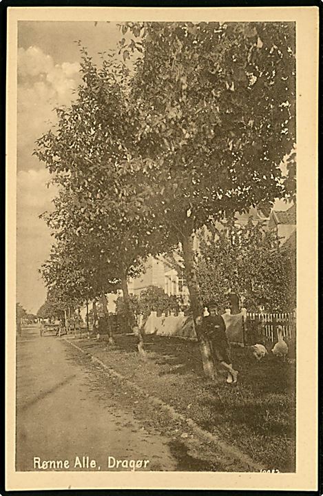 Dragør, Rønne Allé. P. E. Poulsen u/no.