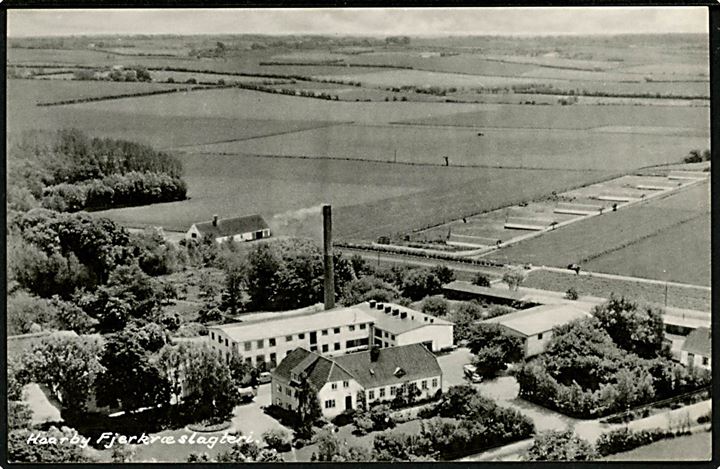 Haarby Fjerkræslagteri. Sønderjyllands Flyveselskab no. 97586.