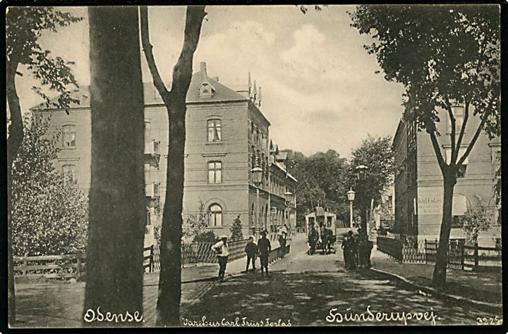 Odense. Hunderupvej med hestetrukket vogn/sporvogn! Varehuset Carl Friis Forlag no. 3225.