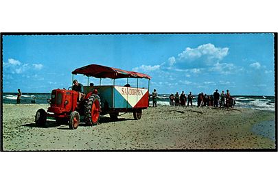 Skagen, Sandormen på Grenen. Aflangt brevkort Stenders no. 100376.