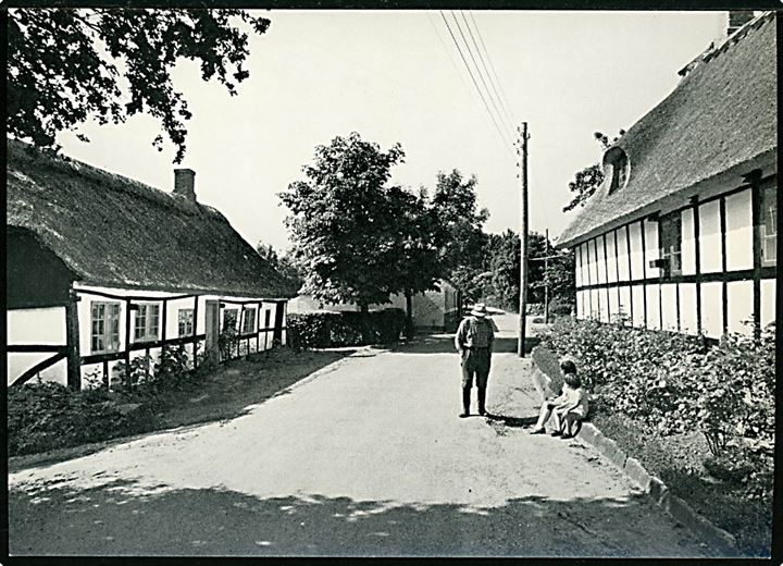 Drejø. Gadeparti. Leif Nielsen u/no. 