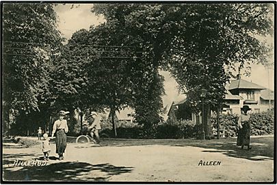 Hillerød. Alleen. Peter Alstrup no. 1917.