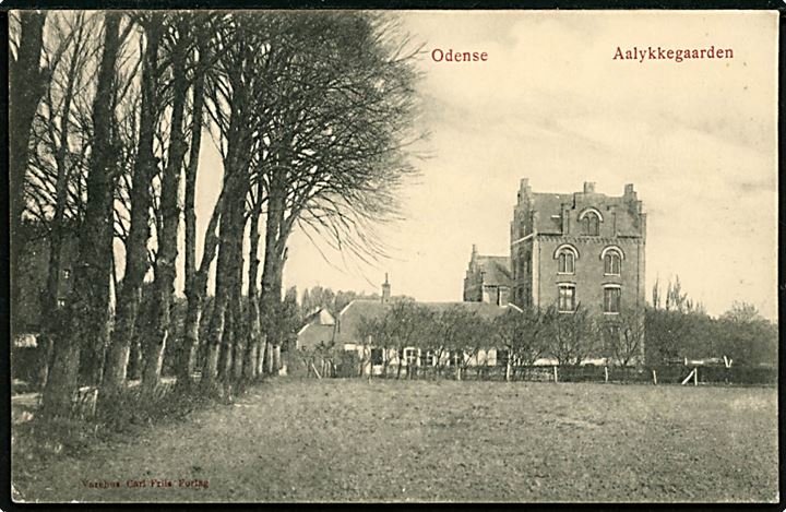 Odense. Aalykkegaarden. Carl Friis Forlag u/no. 