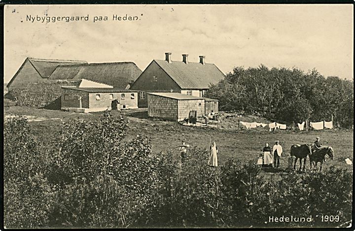 Hedelund ved Skjern. Nybyggergaard på Heden. Th. Thomsen u/no. 