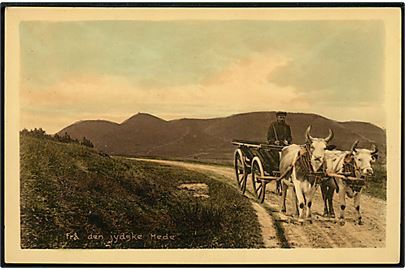 Den Jydske Hede med oksekærre. Stenders no. 24206.