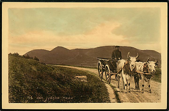 Den Jydske Hede med oksekærre. Stenders no. 24206.