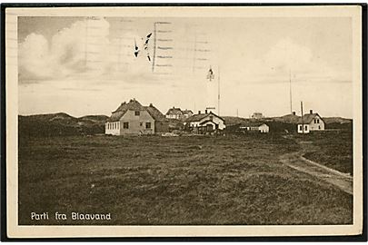 Blaavand. Parti fra. Stenders no. 59872.