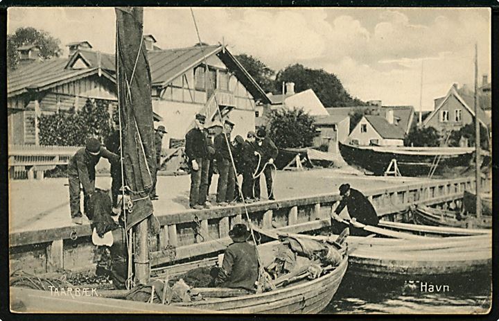 Taarbæk havn med fiskebåde. Stenders no. 4789.