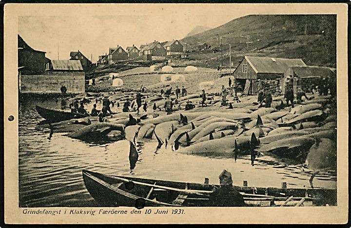 Klaksvik. Grindefangst d. 10.06.1931. Johs. Fjallheim no. 31. Hjørne knæk!