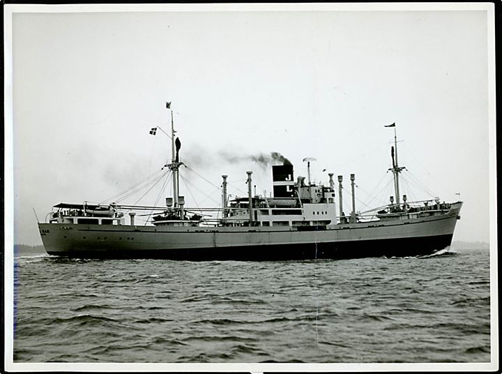 Leena Dan, M/S, Rederiet J. Lauritzen, bygget på Aalborg værft 1949. Fotografi 18x23 cm. Fold.