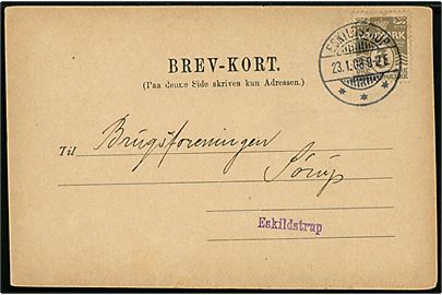 3 øre Bølgelinie på lokalt adviskort fra De Danske Statsbaner stemplet Eskildstrup d. 23.1.1908.