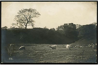 Kalø slotsruin. Fotografisk kort. H. A. Ebbesen no. 175. 