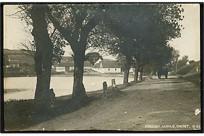 Stor landejendom ved gadekær. Fotograf H. A. Ebbesen no. N83. 