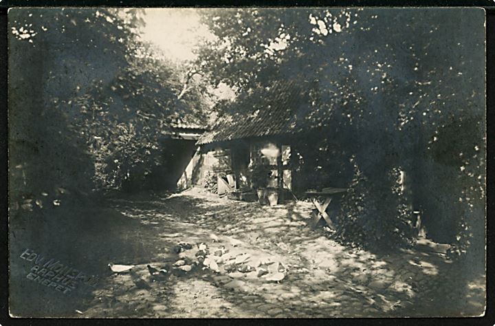 Aarhus, gårdmiljø med duer. Fotograf Edv. Monsrud, Aarhus u/no.