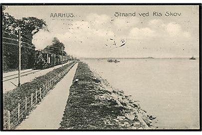 Aarhus, Strand ved Risskov med passerende damptog. Stenders no. 2079.