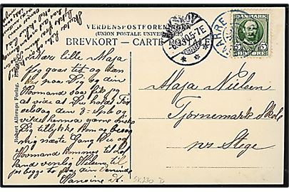 5 øre Fr. VIII på brevkort (Parti fra Dannemare) annulleret med stjernestempel DANNEMARRE og sidestemplet Nakskov d. 6.9.1910 til Stege.