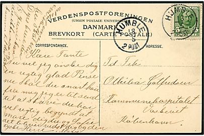 5 øre Fr. VIII på brevkort annulleret med sent anvendt lapidarstempel Humble d. 18.5.190? til København.