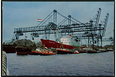 Kista Dan, M/S, J. Lauritzen polarskib i hollandsk havn.
