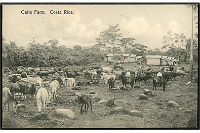 Costa Rica Catle Farm. Manuel Velasquez u/no. 