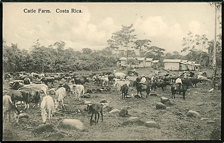 Costa Rica Catle Farm. Manuel Velasquez u/no. 