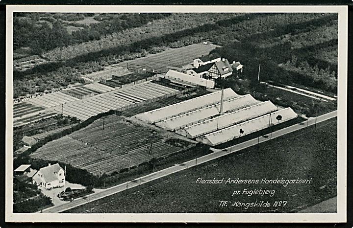 Fuglebjerg, Flensted/Andersens Handelsgartneri. Luftfoto Sylvest Jensen & Stenders no. 79880.