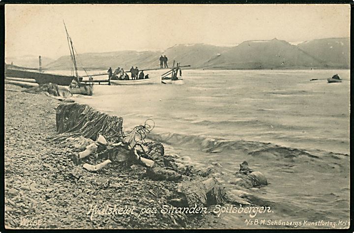 Svalbard / Spitsbergen. Hvalskelet på stranden. B. M. Schönberg no. 1683.