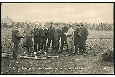 Esbjerg, R. A. v. L.'s Planteavlsudvalg på forevisningsarealet. No. 1452.