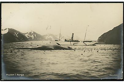 Svalbard / Spitsbergen. Turistskib og hval. P. H. no. 2555. Brugt fra Kristiania 1910 til Frankrig.