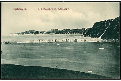 Svalbard / Spitsbergen. Crossbay, Lilliehøøkbræen. Nordisk Kortforlag no. 16,