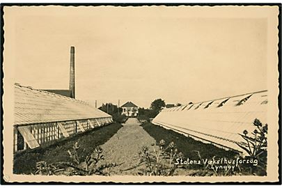 Lyngby, Statens Væksthusforsøg. Fotokort u/no.