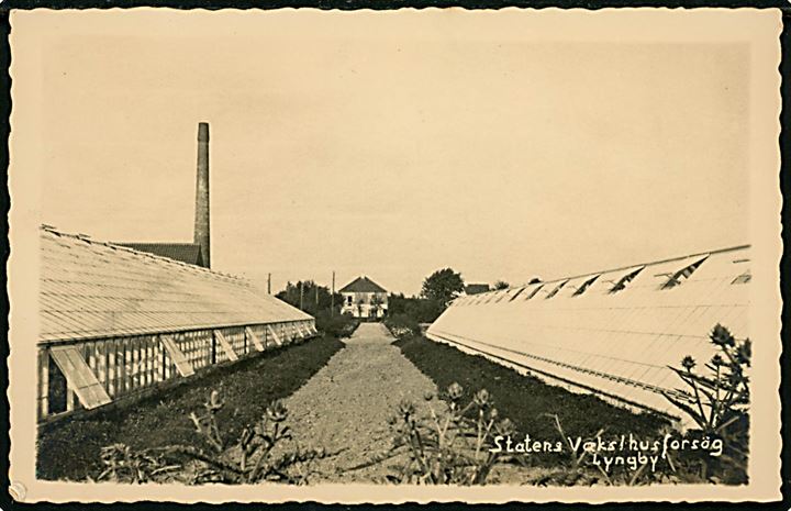 Lyngby, Statens Væksthusforsøg. Fotokort u/no.