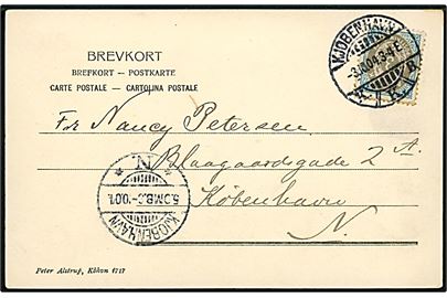 3 øre Tofarvet vm. III omv. rm. på brevkort (Dampbåden ved Frederiksdal) sendt lokalt i Kjøbenhavn d. 3.10.1904. AFA: 1000,-